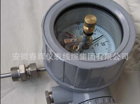 wss防爆型双金属温度计,WSSX-401B