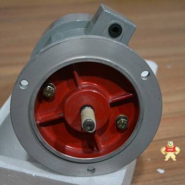 ZYS-1A-M ZYS-1A,ZYS-1A-M,电机,南洋