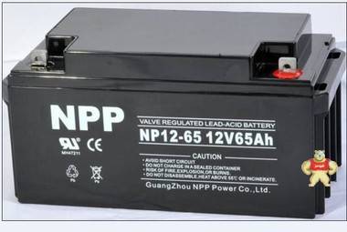 耐普蓄电池NP12-65 