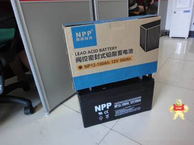 耐普蓄电池NP12-100 北京德尔顿电子科技 