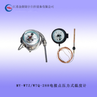 WTZ/WTQ-288電接點壓力式溫度計 1.5級直徑電接點壓力式溫度計