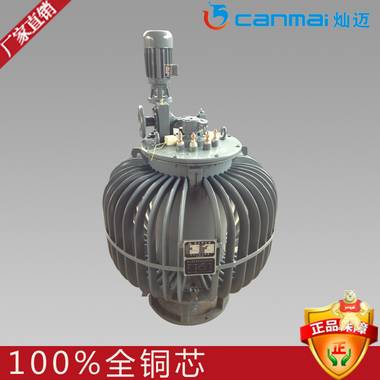 上海变压厂家供应 TDJA-100KVA单相感应油浸式调压器 