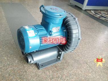 煤气，天然气，沼气专用防爆鼓风机 