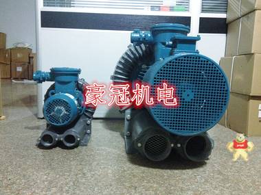 旋涡气泵台湾旋涡气泵旋涡式气泵气防爆旋涡气泵 