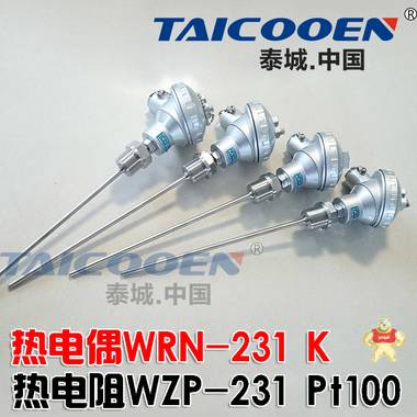 热电阻WZP-231 PT100 进口芯片长度可订做M20*1.5螺纹 TAICOOEN现货包邮 