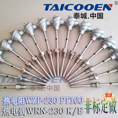 热电阻WZP-230 PT100 CU50温度传感器非标定做 进口芯片TACOOEN现货物价 