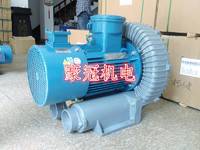 煤气沼气煤矿专用高压防爆鼓风机