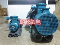 防爆鼓风机，高压防爆鼓风机，变频防爆风机