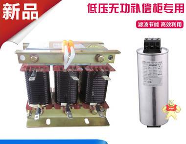 电容器补偿串联电抗器CKSG-3.0/0.45-6%配套电容器50KVAR 上海民恩专业制造 