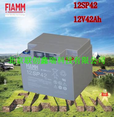 武汉非凡蓄电池12SP42意大利FIAMM蓄电池12V42AH 铅酸免维护电池 质保3年 现货 包邮 