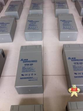光宇蓄电池GFM-300价格 
