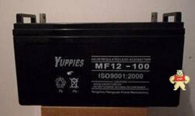 优佩斯蓄电池MF12-100YUPPLES12V100AHups蓄电池 