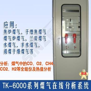 在线煤气热值分析系统 朗旭电子 TK-6000,新泽,煤气热值分析,在线分析仪,仪器仪表