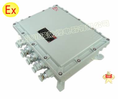 上海川诺供应BXJ51系列防爆接线箱；厂家长期供应 
