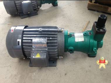 HY10P02-RP-Y112M-8-1.5KW油泵电机组 