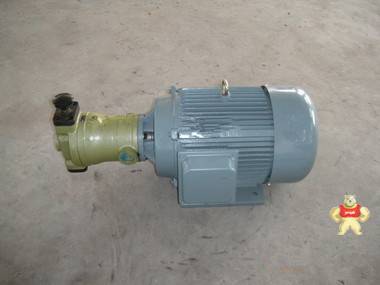 HY10P03-RP-Y112M-8-1.5KW油泵电机组 