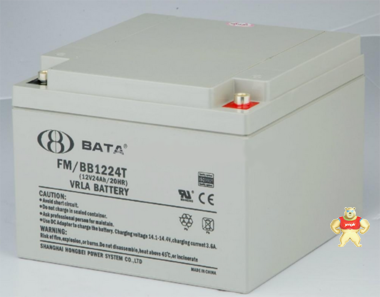 BATA蓄电池FM/BB1224T鸿贝蓄电池12V24AH 