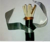 KVVRP22电缆 天津市电缆***分厂