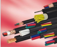 阻燃仪表信号电缆 天津市电缆***分厂