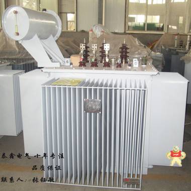 海南S11-630KVA油浸式变压器 油浸式变压器,节能变压器,新型变压器,变压器厂家,变压器价格