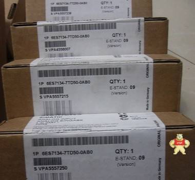 原装6ES7134-7TD50-0AB0 6ES7 134-7TD50-0AB0 