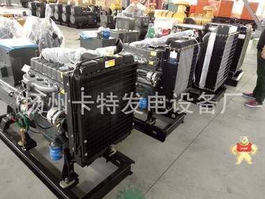 潍柴30千瓦4缸柴油发电机 扬州卡特发电设备厂 