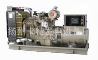 2016 发电机设备 供应 重庆康明斯系列 1000KW发电机组 维护方便(YC12VC1680L-D20)