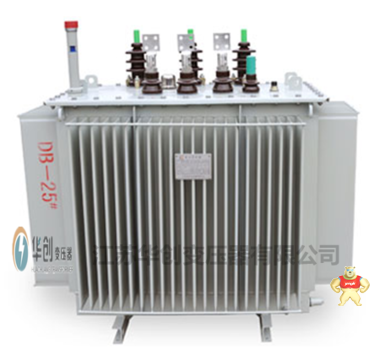 S9-M-100kva/10kv-0.4油浸变压器厂家低价 电力配电 国网*** 