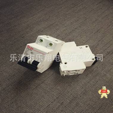 厂家直销 推荐DZ47-63型 FSJ63小型断路器2P-16A MCB 可定做 