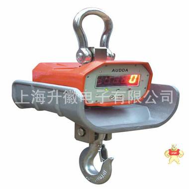 10T直視耐高溫吊秤-20噸直視耐高溫吊秤-直視耐高溫吊秤價格 