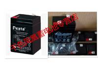 6V4.5AH电池 NEATA蓄电池 NT6-4.5 玩具车电子称6V电瓶质保一年