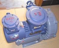 防爆旋涡气泵，防爆旋涡泵