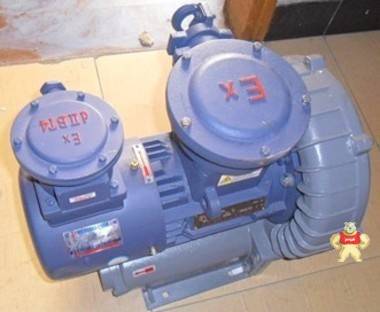 防爆旋涡气泵，防爆旋涡泵 