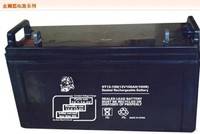 ST12-100 12V100AH/20HR鉛酸蓄電池 金獅ups供電專用蓄電池 朗旭電子