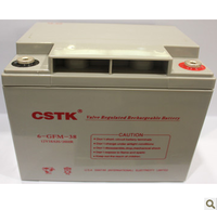 CSTK蓄电池12V38AH CSTK12V38AH蓄电池 现货供应 原装现货