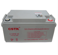 CSTK蓄电池12V 65AH CSTK 12V65AH蓄电池原装现货 质保三年 特价