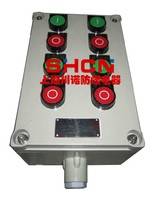 上海川诺供应BXK系列防爆防腐控制箱，质量保障，价格优惠；