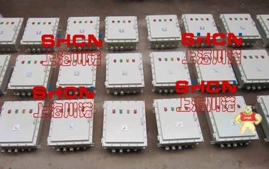 《上海川诺》供应BJX系列防爆不锈钢接线箱，品质保障； 