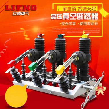 厂家直销上海立枫ZW32-10高压真空断路器 