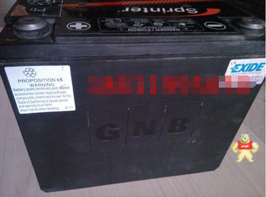进口美国GNBS12V285蓄电池，原装GNB蓄电池 