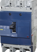 德力西 漏電保護(hù)器 DZ20L-250A 【現(xiàn)貨保證,】