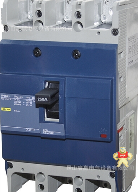 德力西 漏電保護(hù)器 DZ20L-250A 【現(xiàn)貨保證,】 