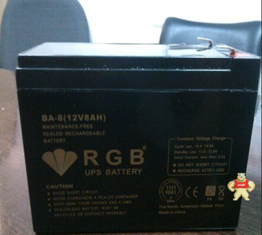美国RGB蓄电池BA-8 工业蓄电池 