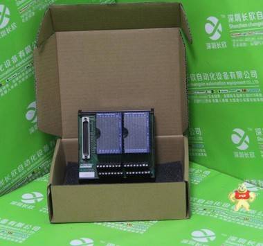 P0916JW 端子模块 FOXBORO 