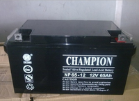 冠军蓄电池NP65-12 后备电源-蓄电池销售