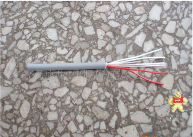 安徽天康集团厂价直销供应仪表电缆 