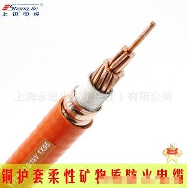 【上海永进电缆集团】铜护套柔性防火电缆YTTWV-0.6/1KV-1X95 