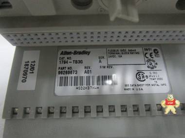 Allen-Bradley  1794-TB3G  接线端子 