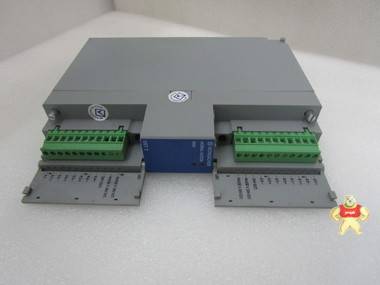 SCHLEICHER   UST21    模块 