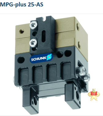 SCHUNK 0340040  MPG 25-AS 